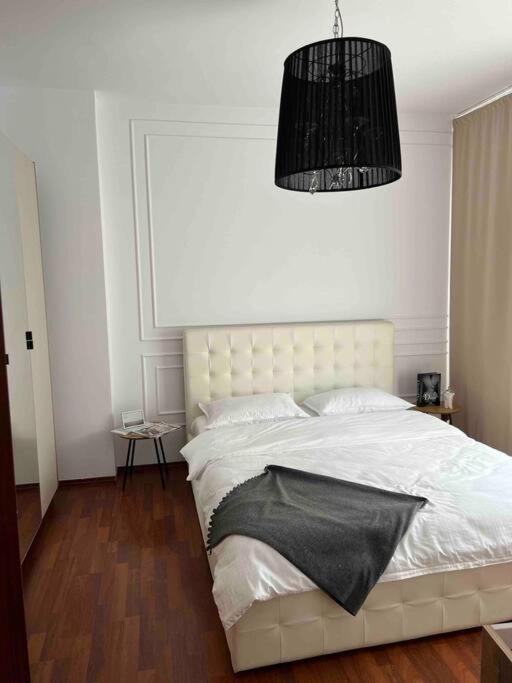 Hidden Gem Apartment In The Center Of The City Braşov Dış mekan fotoğraf